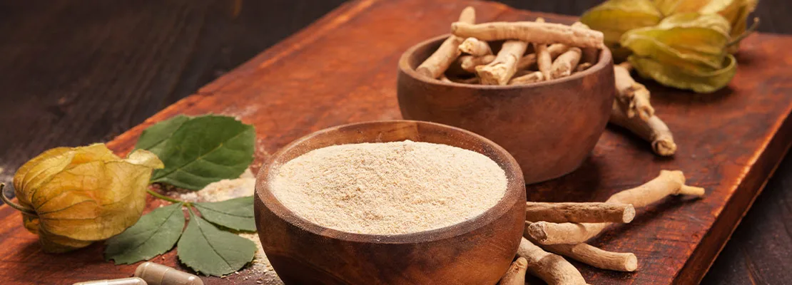 Ashwagandha KSM 66® (5% witanolídeos) Ashwagandha KSM 66® (5% witanolídeos)