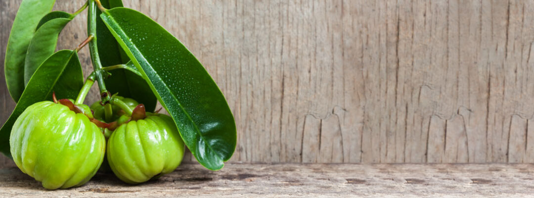 Garcinia cambogia Extrato (50% ácido hidroxicítrico)