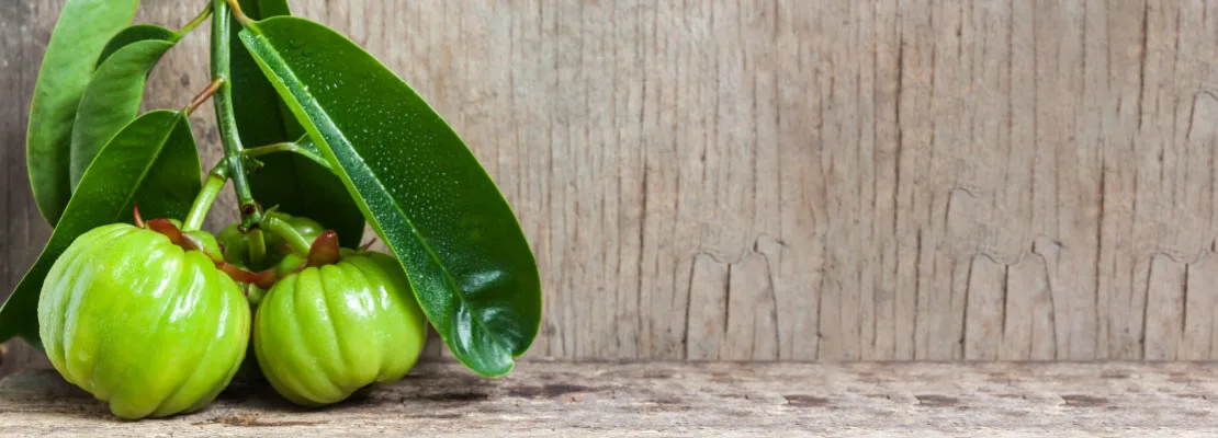Garcinia cambogia Extrato (50% ácido hidroxicítrico) Garcinia cambogia Extrato (50% ácido hidroxicítrico)