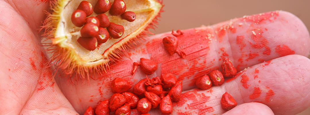 GG-Max™ Geranilgeraniol do Urucum (Óleo)