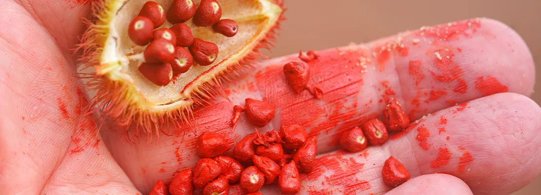 GG-Max™ Geranilgeraniol do Urucum (Óleo) GG-Max™ Geranilgeraniol do Urucum (Óleo)
