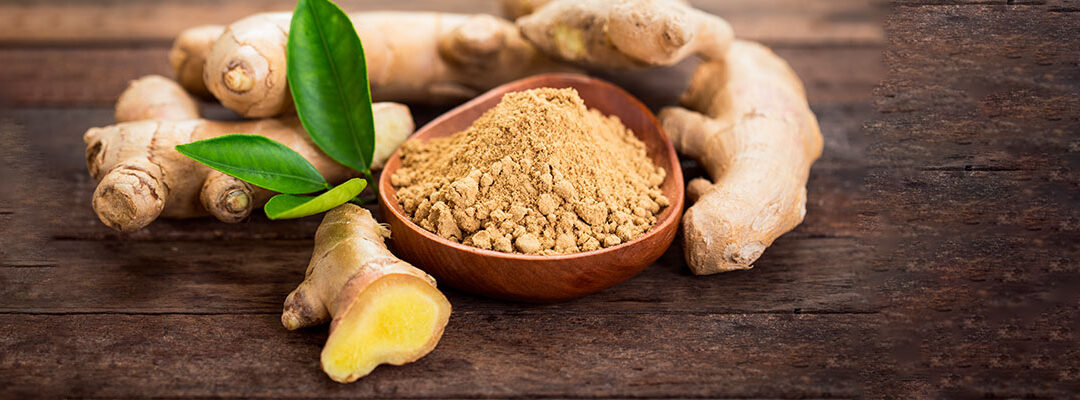 Ginger Extrato (1% gingeróis)
