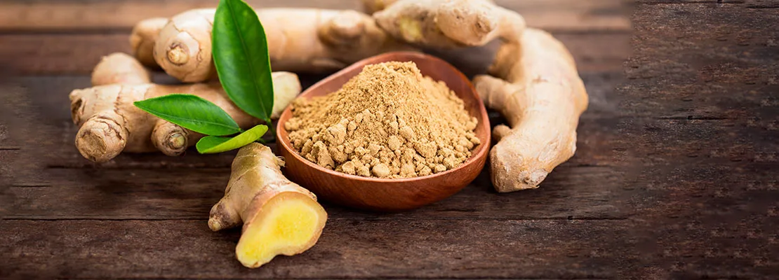 Ginger Extrato (1% gingeróis) Ginger Extrato (1% gingeróis)
