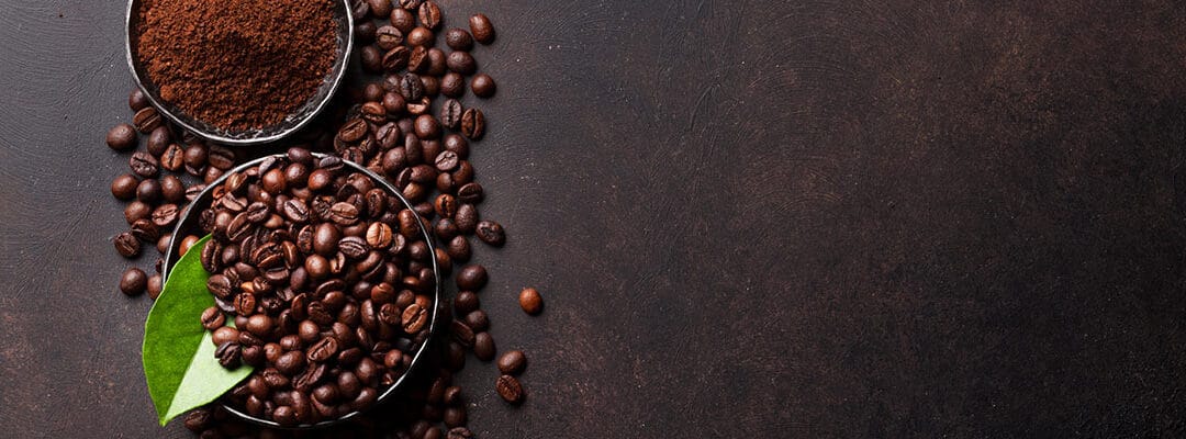 Green Coffee Extrato (45% ácidos clorogênicos)