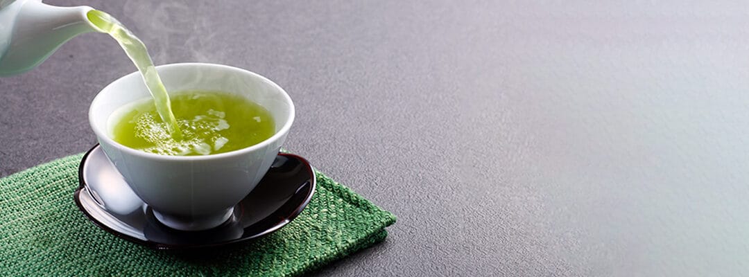 Green Tea Extrato (Camellia sinensis; 50% polifenóis)