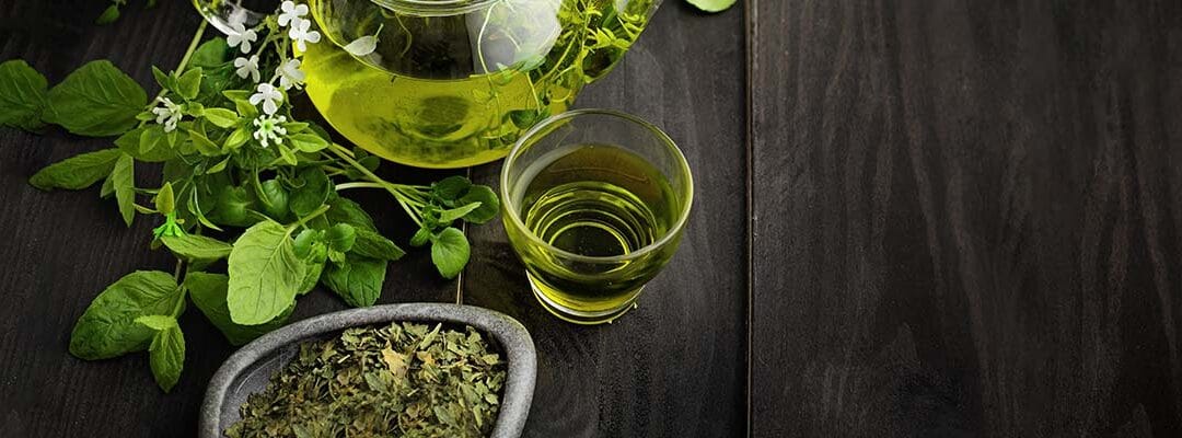 Green Tea Extrato (Camellia sinensis; 95% polifenóis)