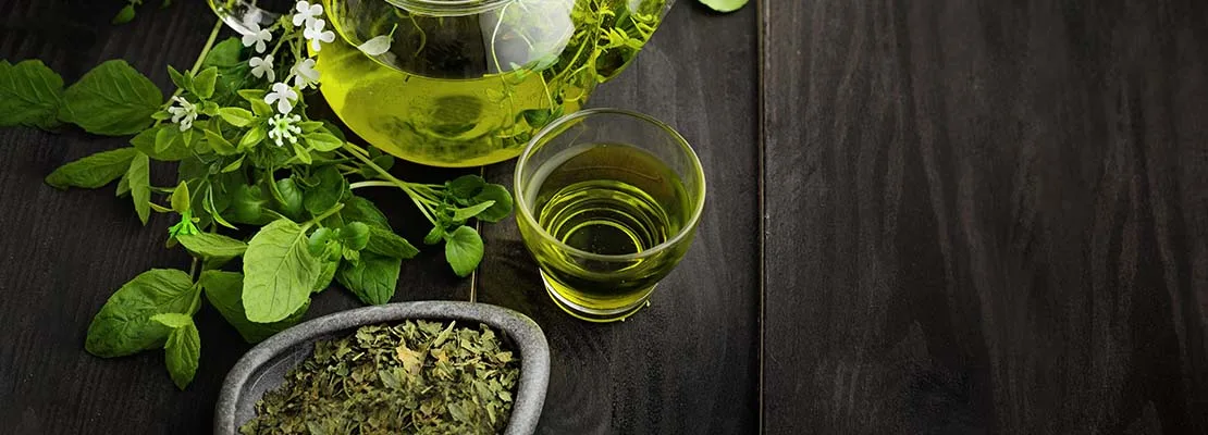 Green Tea Extrato (Camellia sinensis; 95% polifenóis) Green Tea Extrato (Camellia sinensis; 95% polifenóis)
