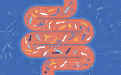 Probióticos: o que é, benefícios e como manipular
