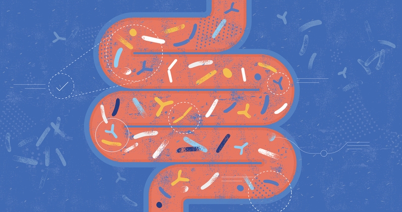 Probióticos: o que é, benefícios e como manipular