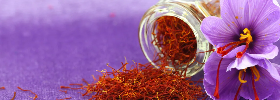 Saffron Extrato (Crocus sativus; 0,3 % Safranal) Saffron Extrato (Crocus sativus; 0,3 % Safranal)