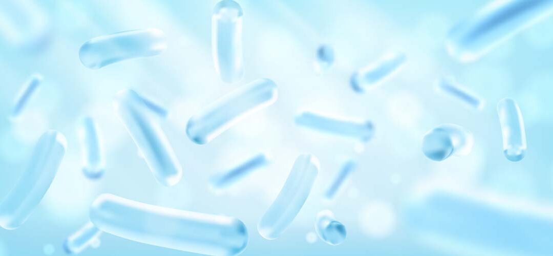 SynbiOFF® Lactobacillus rhamnosus