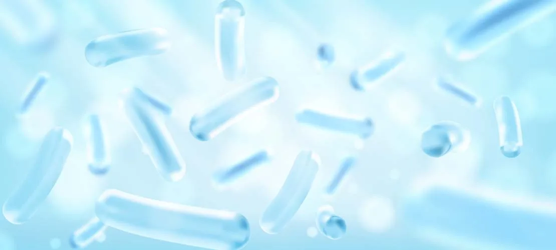 SynbiOFF® Lactobacillus rhamnosus SynbiOFF® Lactobacillus rhamnosus